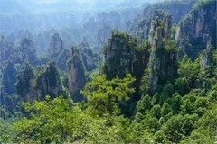 2026年第0039贴-张家界风光纪实旅拍（0113）