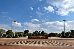 2026小城的春（肆拾叁）