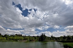 2026小城的春（肆拾壹）