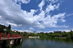 2026小城的春（肆拾壹）