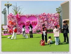 游八里沟【丙午年-084】