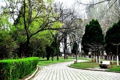 这里才有了春天该有的样子