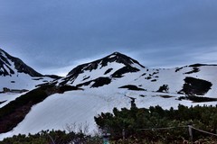 这里黎明静悄悄——室堂大雪谷【4】