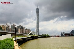在琶洲西江边。