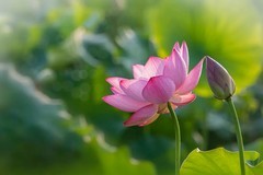荷姿