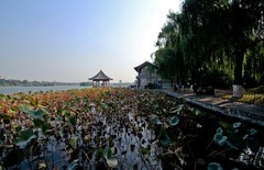 晚秋——明湖随拍 （二）