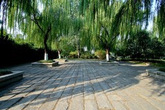 晚秋——明湖随拍 （二）