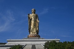 中原大佛   完
