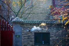 莲池冬景—(续)