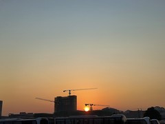 漫步星城 （1087）旭日东升