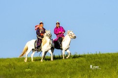 马背上的风采（30）