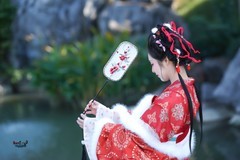 【唐宫小主】---噗噗