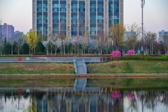 小河边之春—(续)