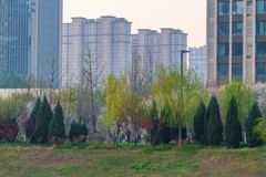 小河边之春—(续)