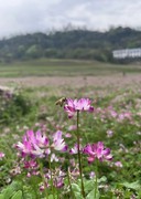 路过宁乡祖塔桥