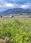 路过宁乡祖塔桥