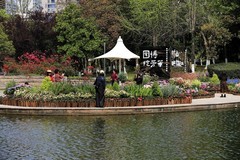 绣山公园杜鹃花展(4)