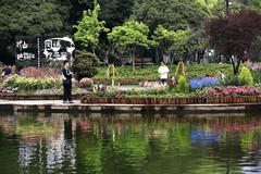 绣山公园杜鹃花展(4)