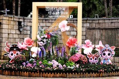 绣山公园杜鹃花展(4)