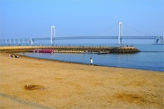 2026年第0471贴 -大连黑石礁海滨（0713）