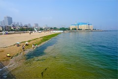 2026年第0472贴 -大连黑石礁海滨（0713）