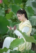 荷池翠绿