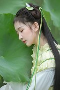 荷池翠绿