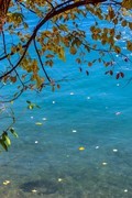 吉 林 大 龙 湾