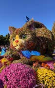 2026年- 北海公园菊花展-0653