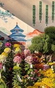 2026年- 北海公园菊花展-0654