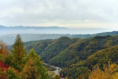 旺苍盐井河之秋