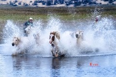 慢门 飞马踏水（9）