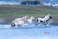 慢门 飞马踏水（9）