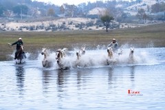 慢门 飞马踏水（9）