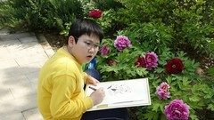 牡丹园写生