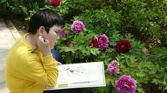牡丹园写生
