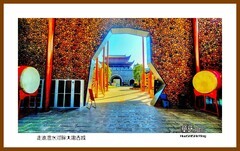 走进沣水河畔大庸古城—2023南行（湖南省001）张家界