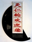 2171--15【不老松：纪实摄影】异国风情：韩国印象！天仁号邮轮是天津和仁川合资的！