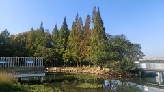 银湖漫步