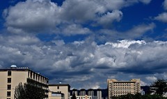 2025夏日随拍 （肆拾肆）