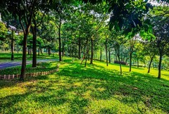 深圳笔架山公园 掠影