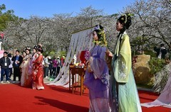 那年樱园花神节