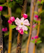 手机游拍20260403《30》