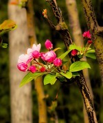 手机游拍20260403《30》