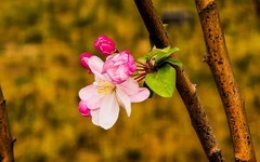 手机游拍20260403《30》