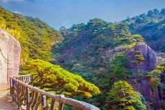 山清山风景9