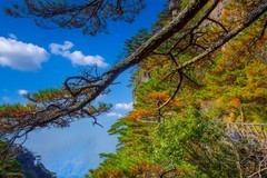 山清山风景9