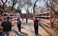 手机游拍20260316《32》