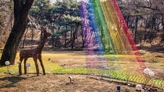 手机游拍20260316《32》