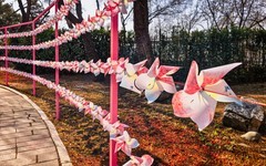 手机游拍20260316《32》